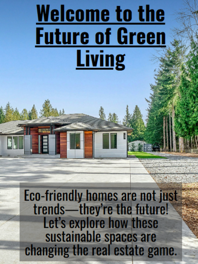 Eco-Friendly Homes: The Future of Real Estate